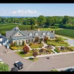 Del Vino Vineyards