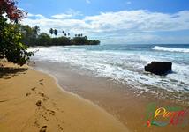 Steps Beach - Reserva Marina Tres Palmas