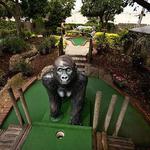 Jungle Golf of Virginia Beach