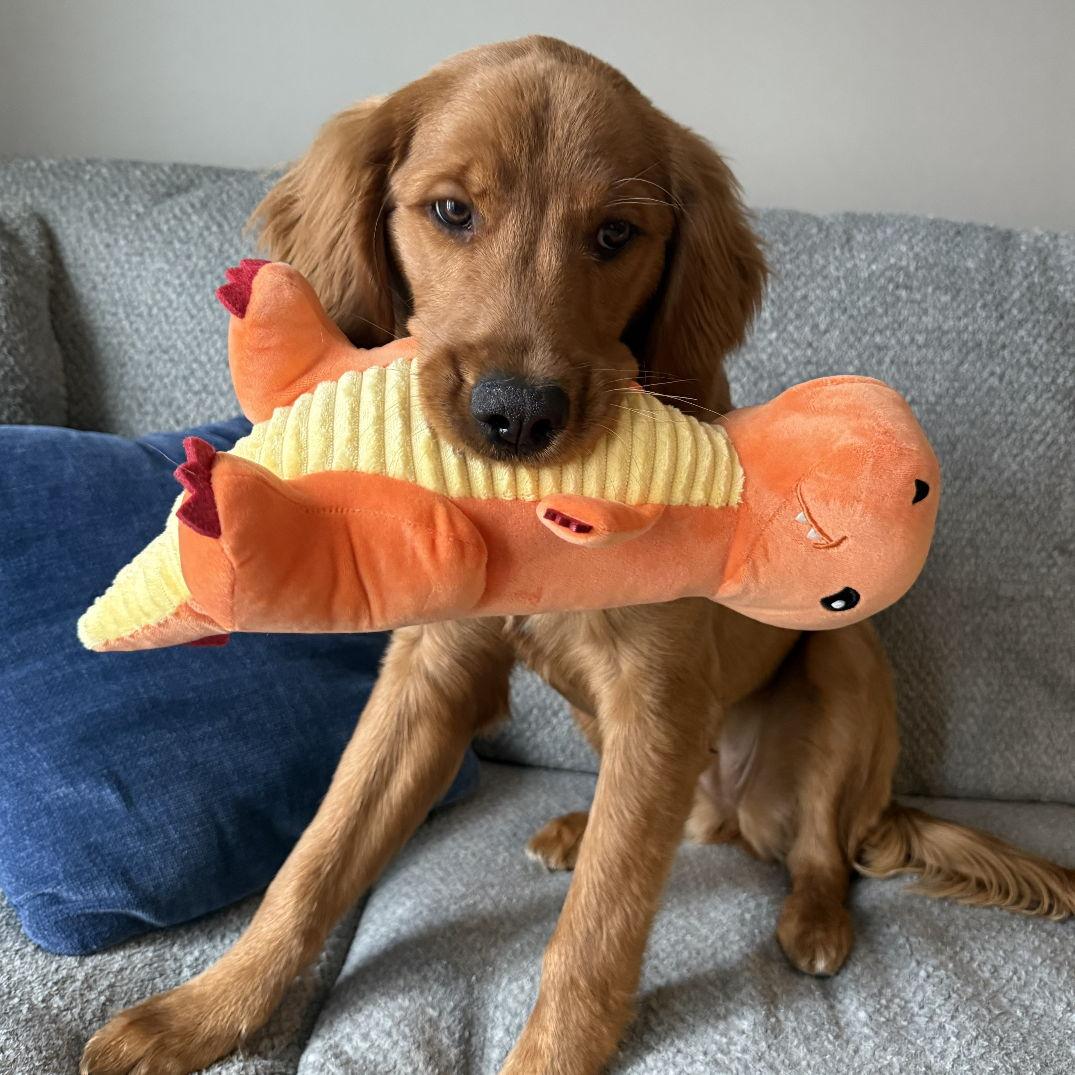 Lola: 6 Months