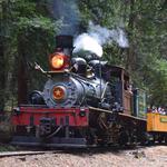 Roaring Camp