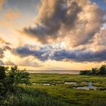Long Beach Island Foundation