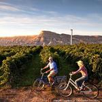 Palisade Fruit and Wine Byway