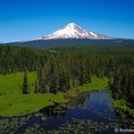 Mount Hood
