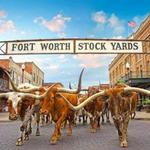 Stockyards