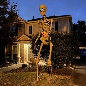 Seth's Giant Skeleton