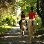 Horseback Riding at The Forest Stables