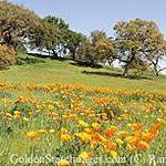 Hiking: Santa Rosa Plateau Ecological Preserve