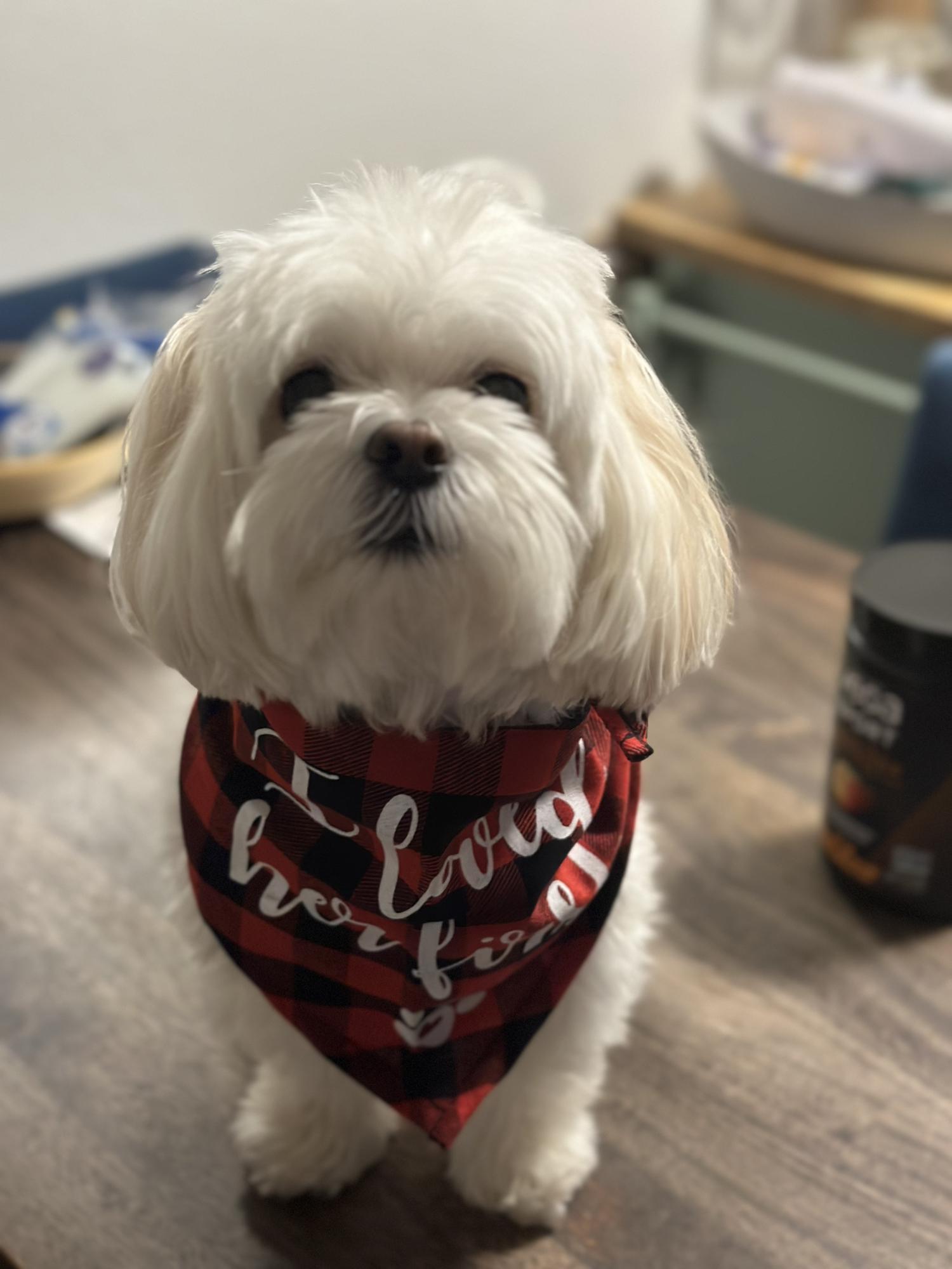 I Loved her First! But gosh, how I Love us now! We ❤️ you, Chris