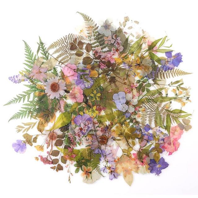 RisyPisy 160pcs Pre-Cut Scrapbooks Natural Stickers, Floral and Plant Sticker for DIY Craft, Planners, Journal, Notebook, Laptop, Cell Phone, Calendars, Wedding