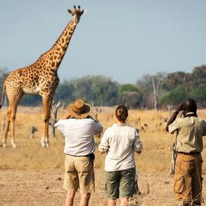 Walking Safari in Amboseli