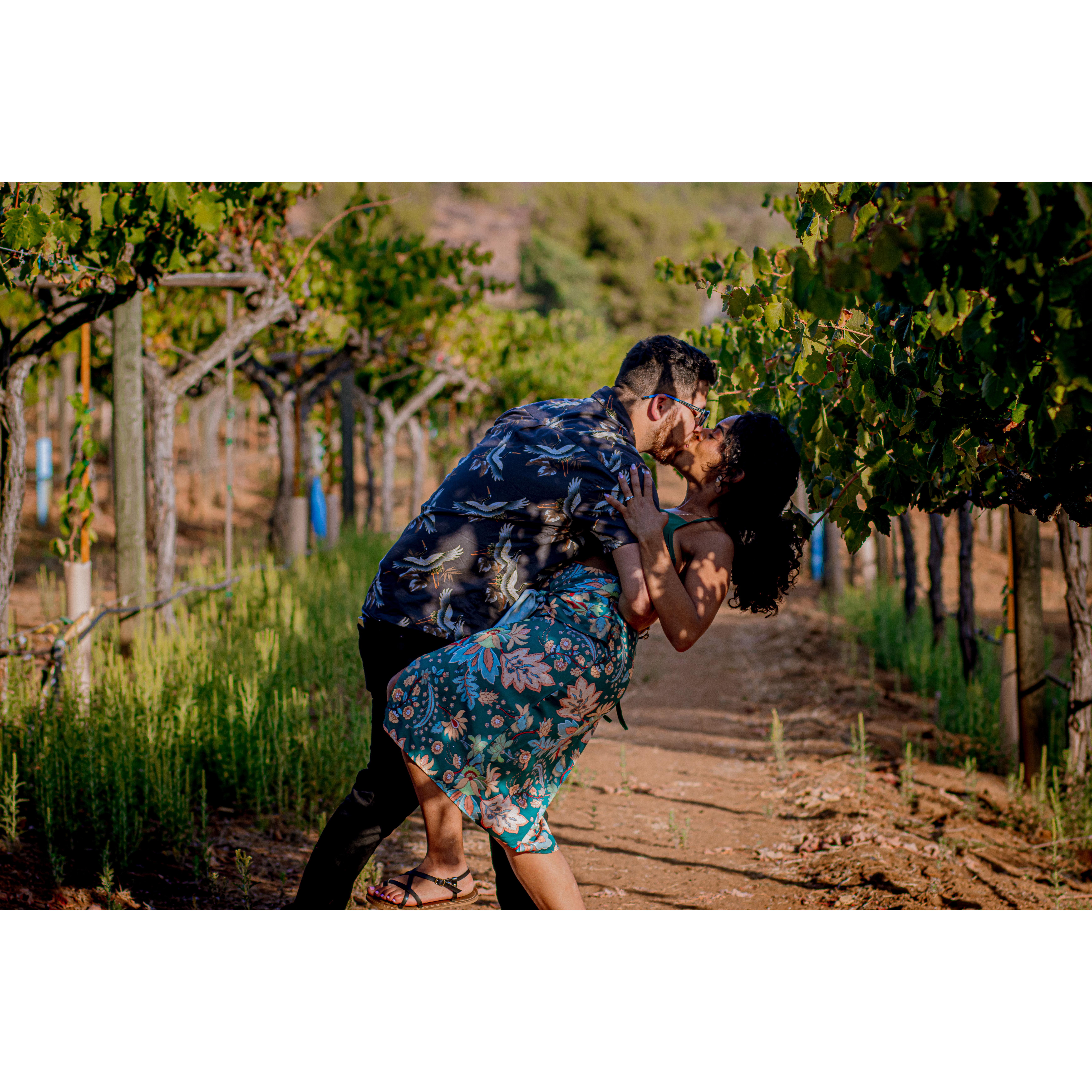 Escondido Vineyard September 4th, 2022 the day after Alex proposed.