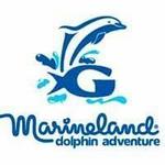 Marineland Dolphin Adventure