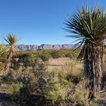 Big Bend National Park
