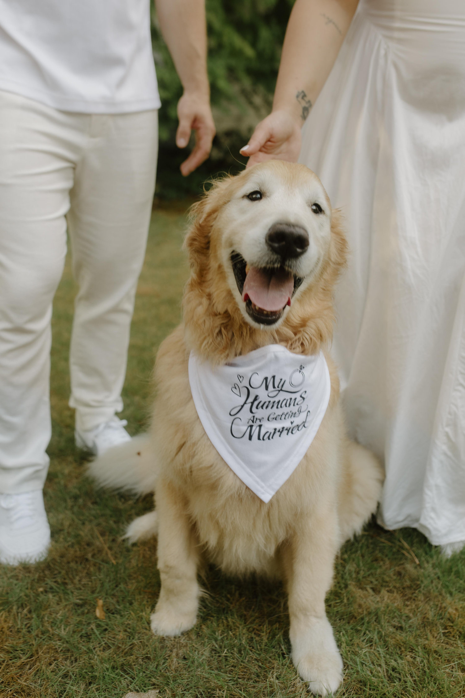 The Wedding Website of Jaqueline Umberto and Bret Cameron Rogers