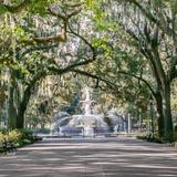 Enjoy Forsyth Park