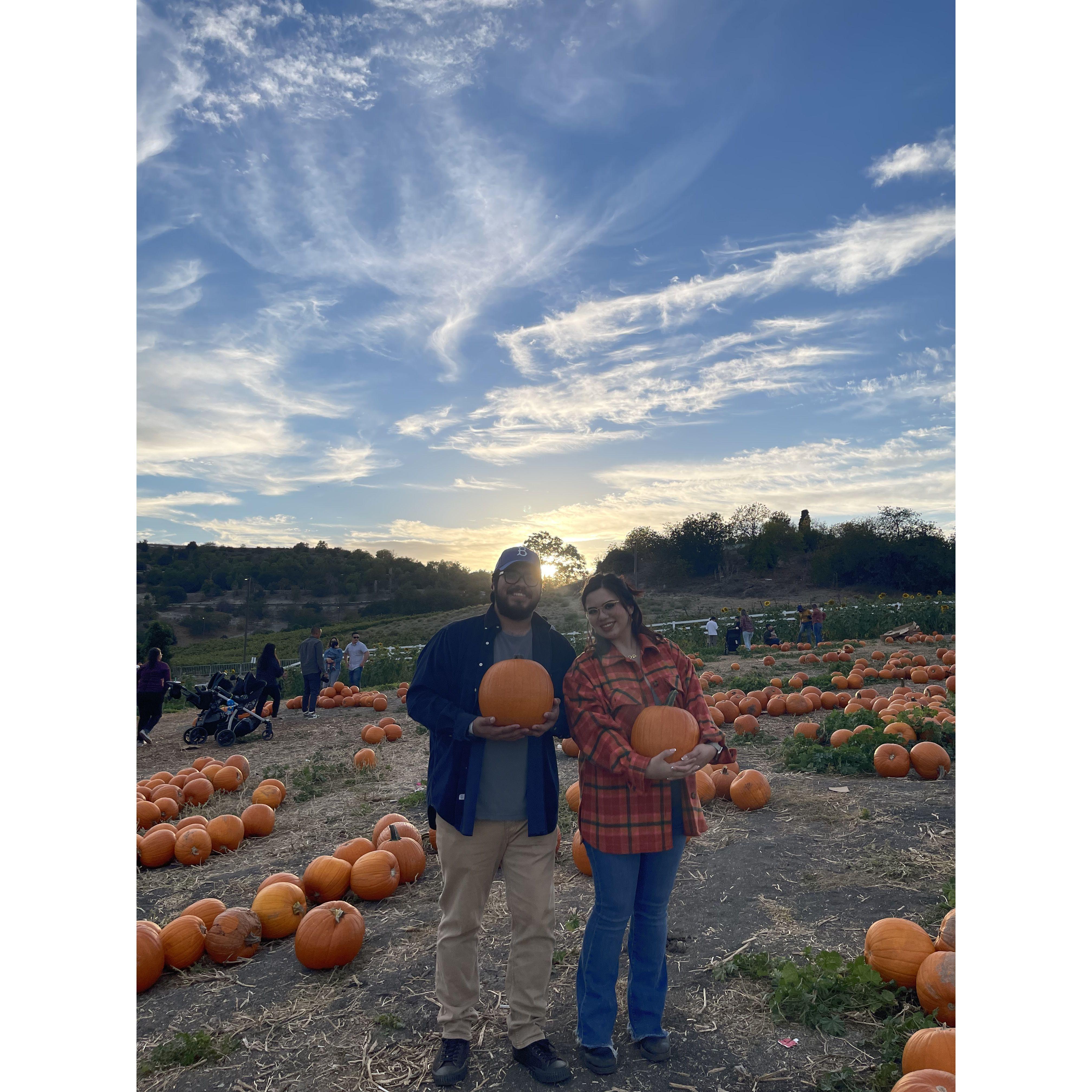 Cal Poly Pumpkin patch