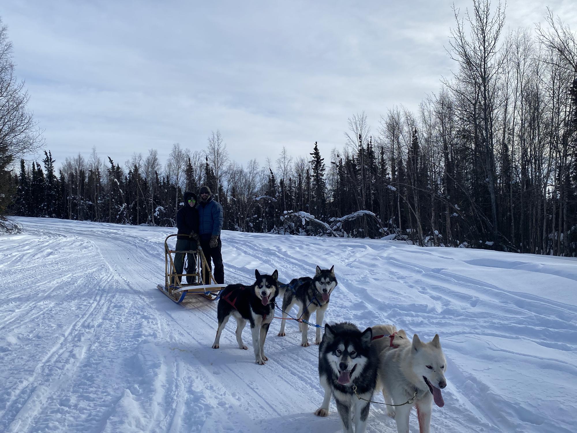 Mushing in Fairbanks