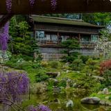 Hakone Estate and Gardens