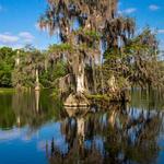 Wakulla Springs State Park