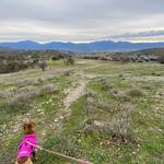 Roxy Ann Peak