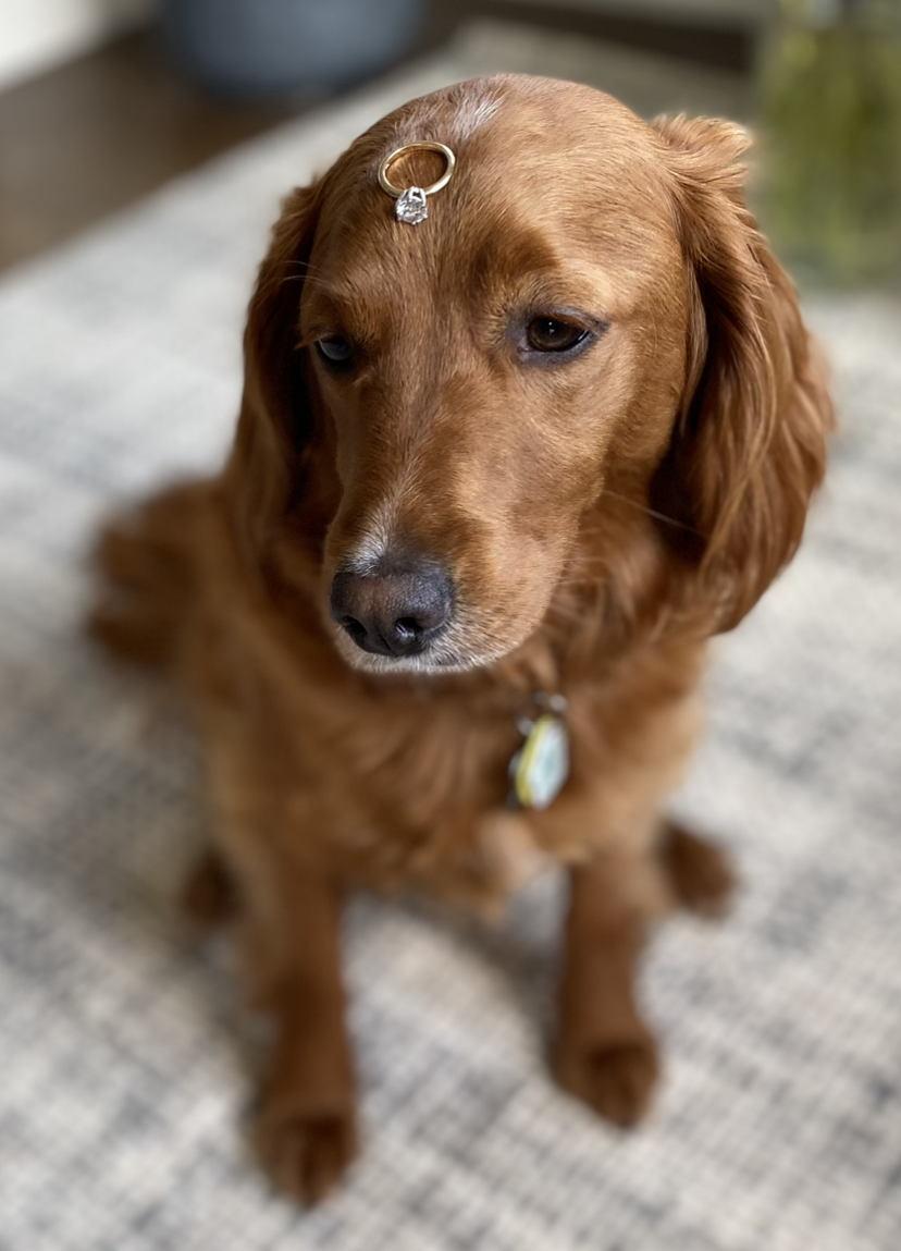 The Wedding Website of Jessica Wells and Jordan Livingston