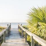 Visit Tybee Island