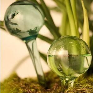 Watering Globes, Set of 2