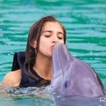 Dolphin Cove Ocho Rios