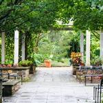 The Friends of The Frelinghuysen Arboretum