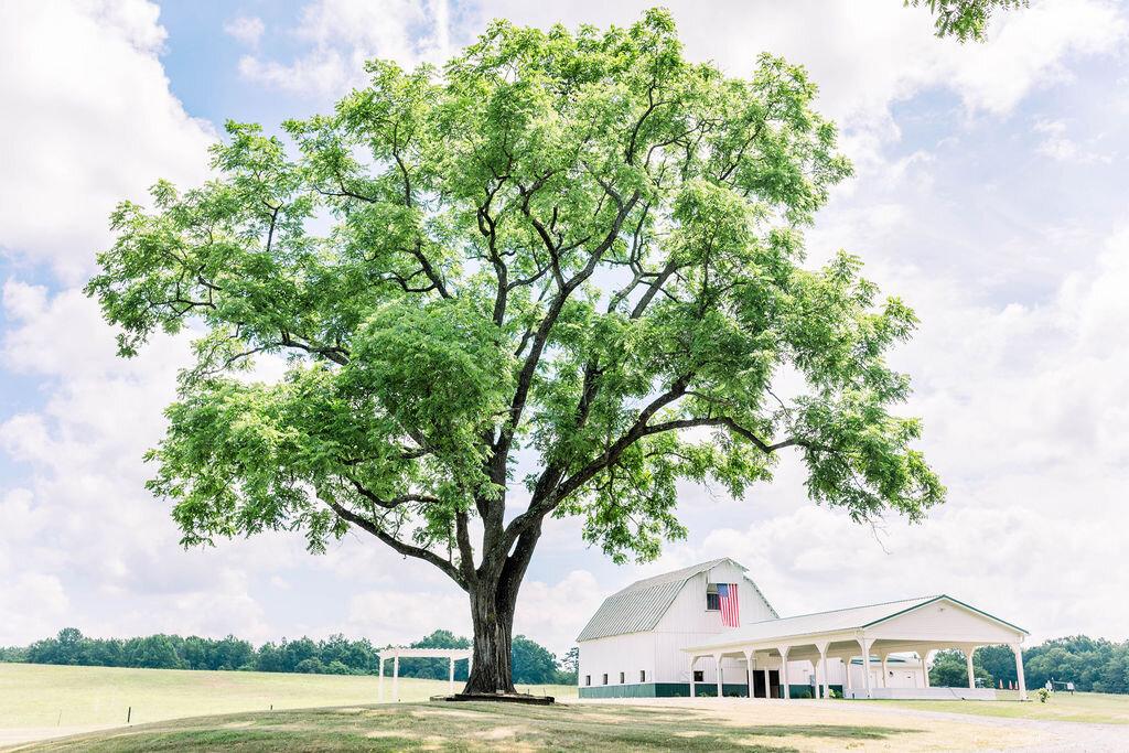 The Wedding Website of Christina Leonard and Ryan Tupper