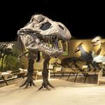 Cleveland Museum of Natural History