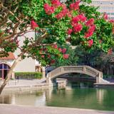 Mandalay Canal Walk at Las Colinas