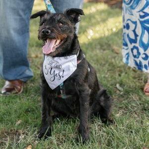 Olive's Treat Fund