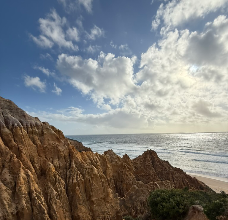 The Wedding Website of Andres Vergara and Marie Claire Maxwell