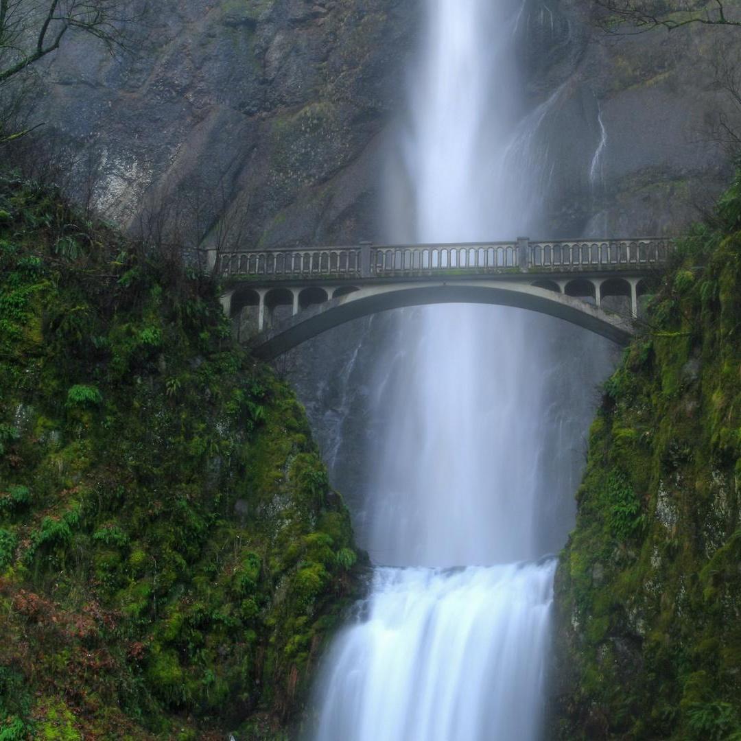 When we went to Oregon my aunt took this of us. We are up on the bridge but u can't really see us