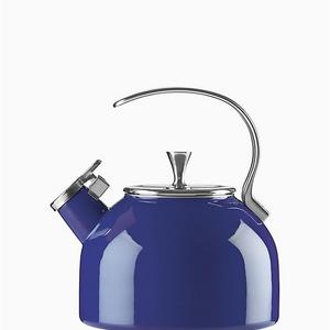 Cobalt Tea Kettle