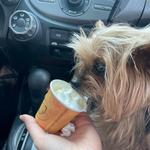 Fred's Coffee & Donuts