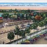 St Petersburg Shuffleboard Club