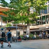 CocoWalk