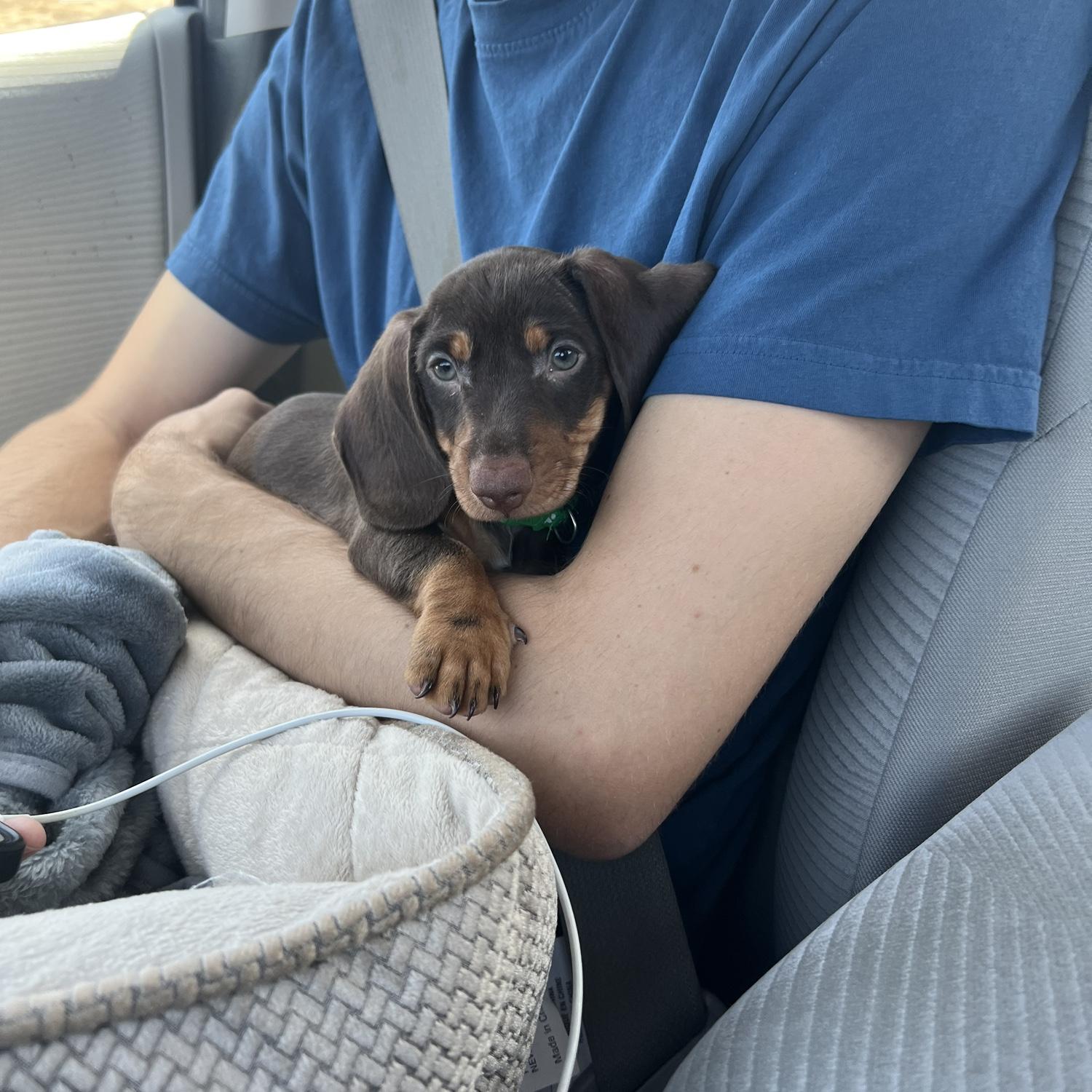 Picking up Portillo 🌭❤️