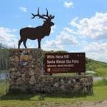 White Horse Hill National Game Preserve