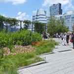 The High Line