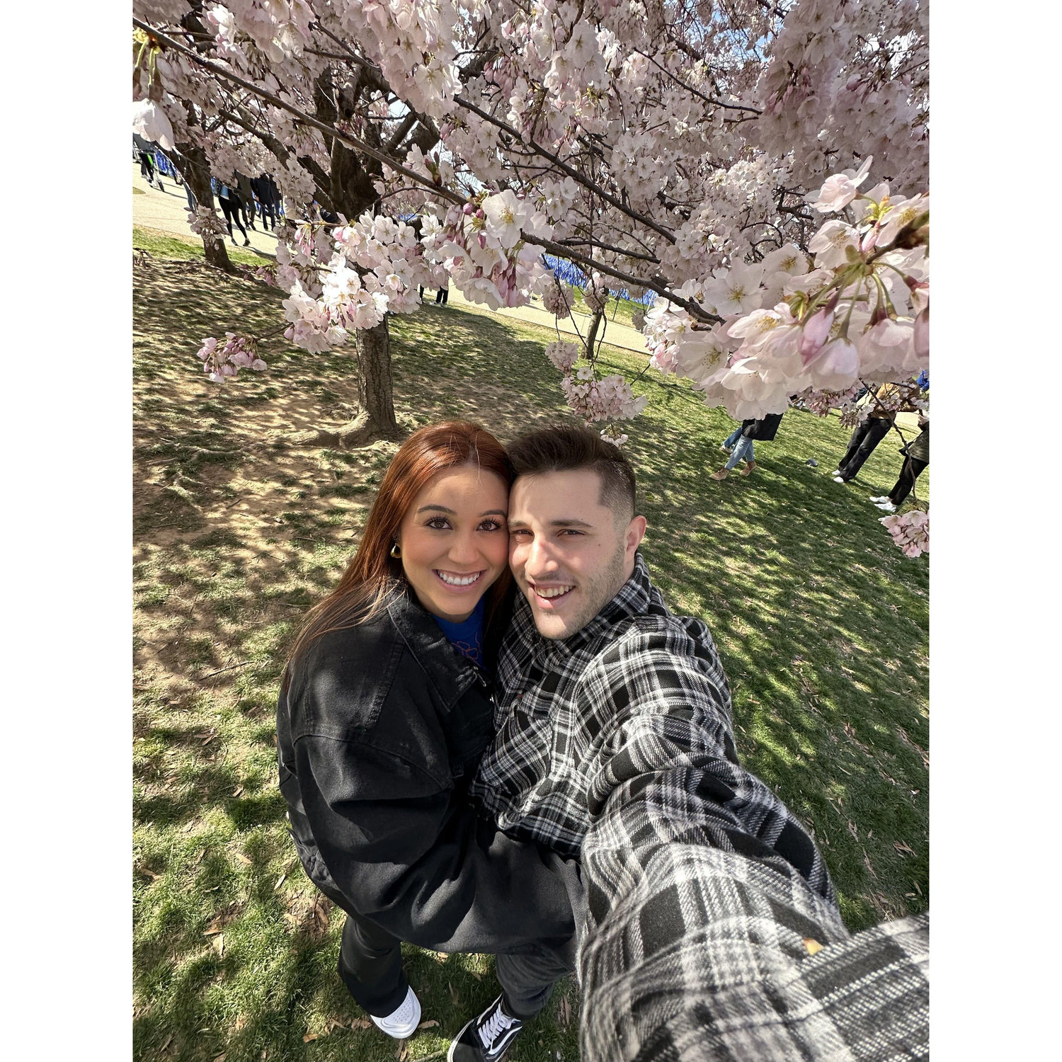 Our Move to DC! 2023