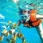 Coral Reef Snorkeling with Lunch