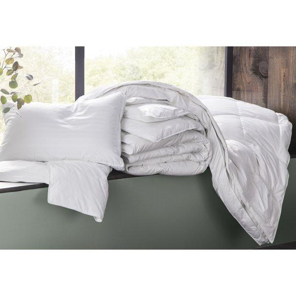 Bridgette Down Bed Pillow (set of 2)