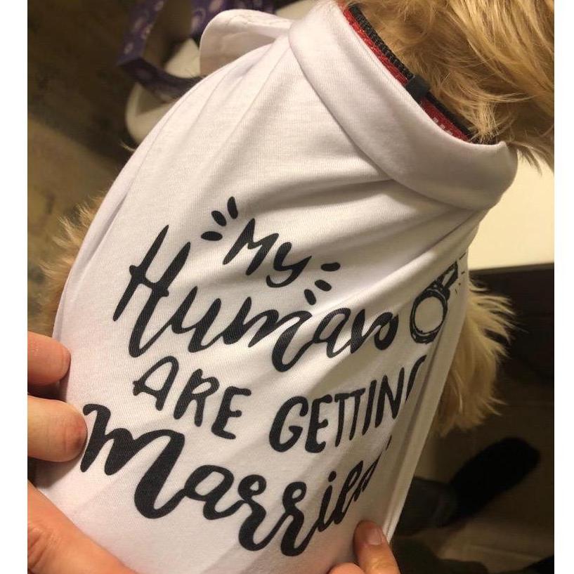 Mylo's outfit at our engagement party