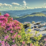 Beacon Heights Overlook Trail