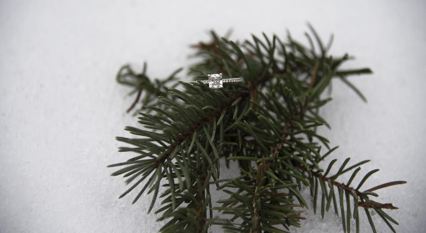 The Wedding Website of Halee Lynch and Mark Williamson