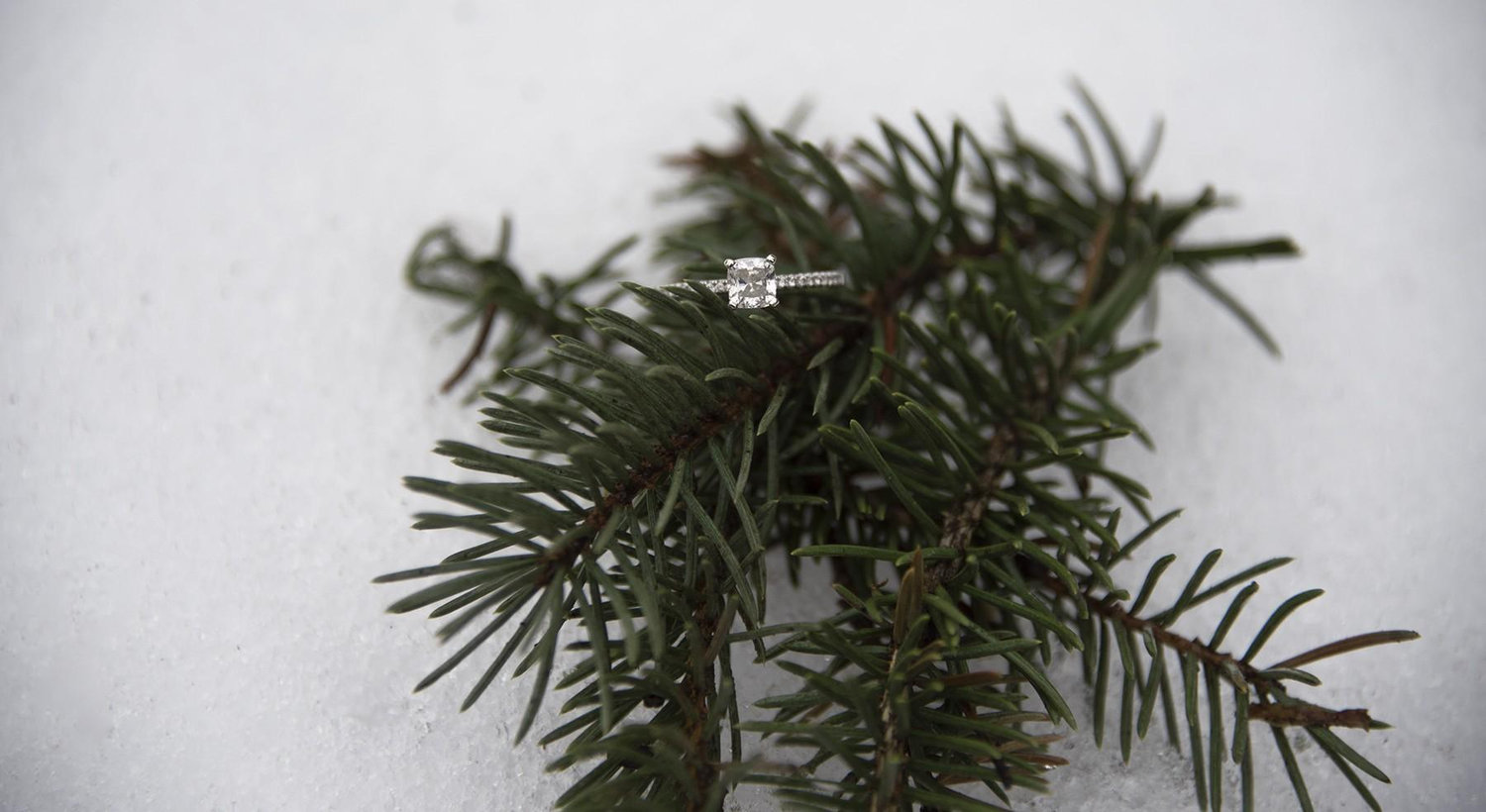 The Wedding Website of Halee Lynch and Mark Williamson
